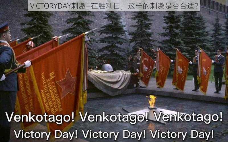 VICTORYDAY刺激—在胜利日，这样的刺激是否合适？