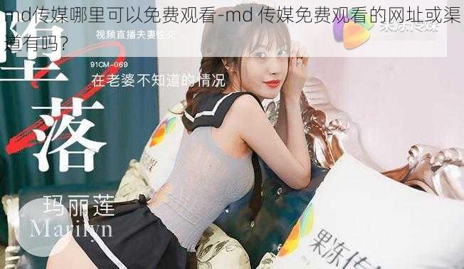 md传媒哪里可以免费观看-md 传媒免费观看的网址或渠道有吗？