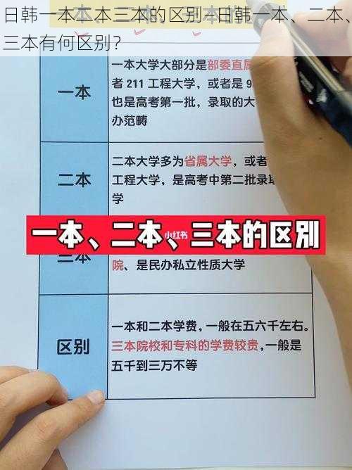 日韩一本二本三本的区别—日韩一本、二本、三本有何区别？