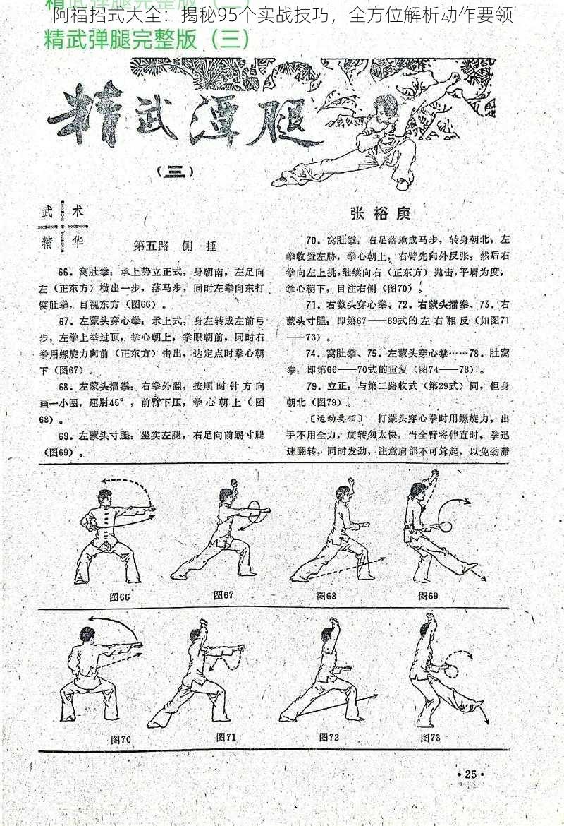 阿福招式大全：揭秘95个实战技巧，全方位解析动作要领