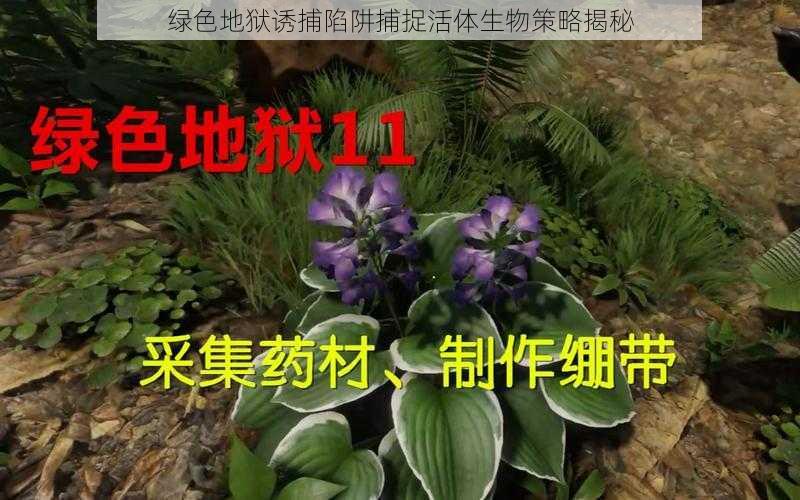 绿色地狱诱捕陷阱捕捉活体生物策略揭秘