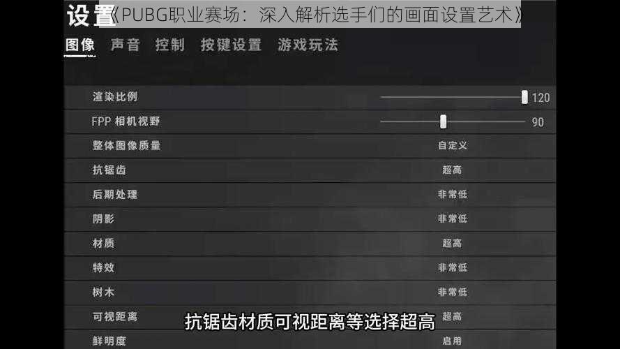 《PUBG职业赛场：深入解析选手们的画面设置艺术》