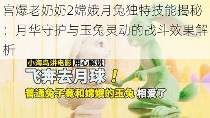 宫爆老奶奶2嫦娥月兔独特技能揭秘：月华守护与玉兔灵动的战斗效果解析