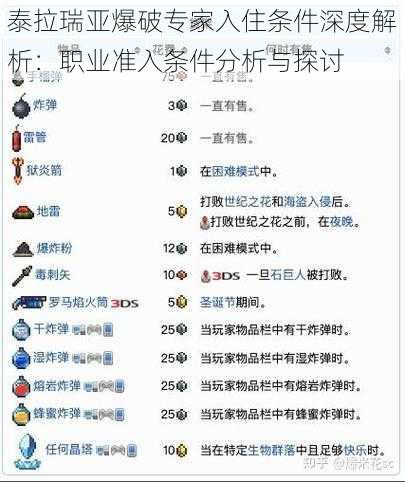 泰拉瑞亚爆破专家入住条件深度解析：职业准入条件分析与探讨