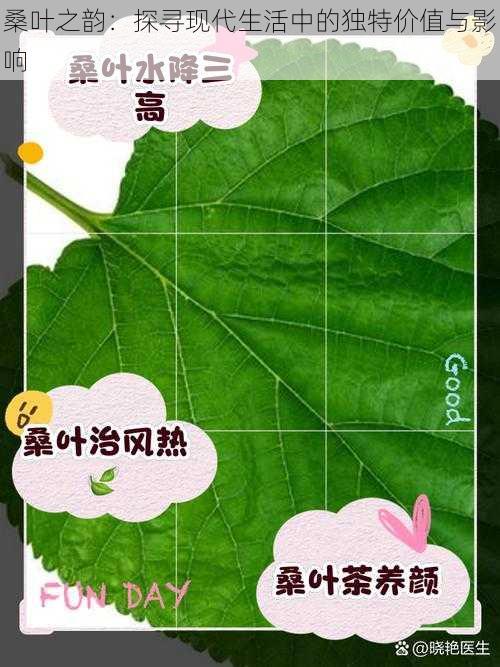 桑叶之韵：探寻现代生活中的独特价值与影响