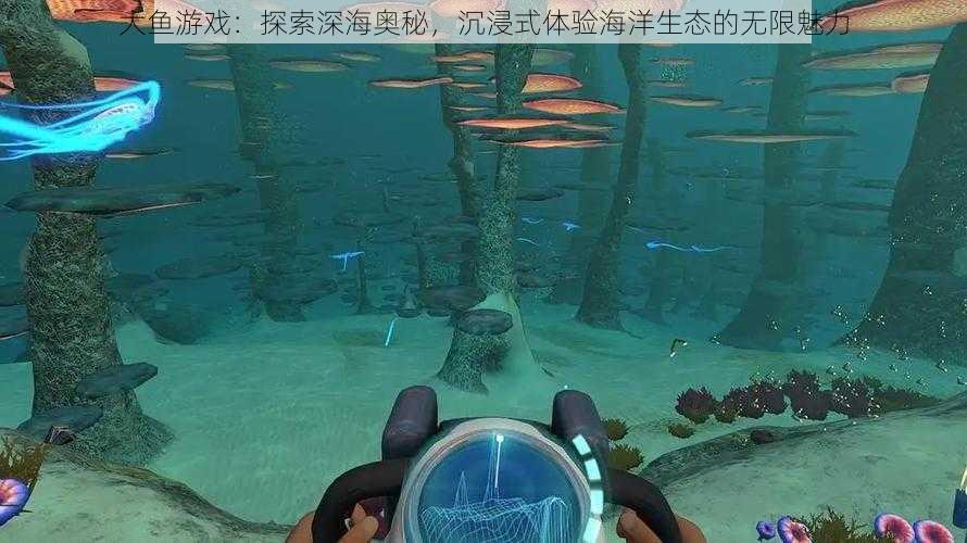 大鱼游戏：探索深海奥秘，沉浸式体验海洋生态的无限魅力